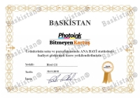 Epson L310 için Mavi Mürekkep